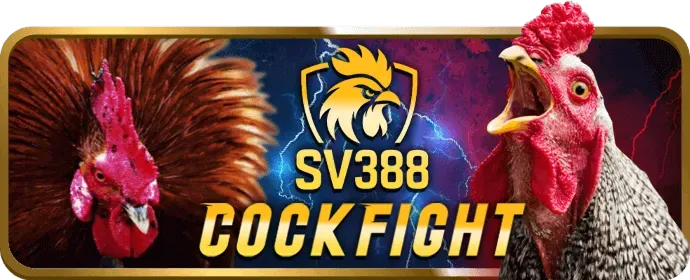 Ưu đãi độc quyền CS88